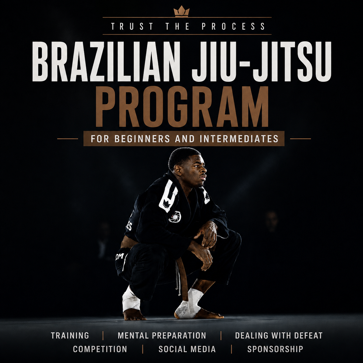 Guide Ultime JJB